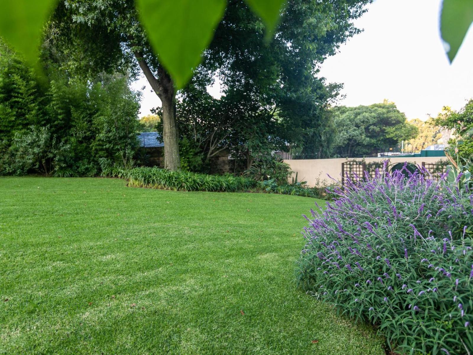יוהנסבורג Emmarentia Guest House מראה חיצוני תמונה